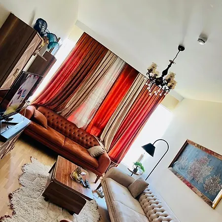 Fully Furnished 1 1 Bedroom 아파트