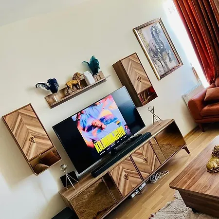 Fully Furnished 1 1 Bedroom *